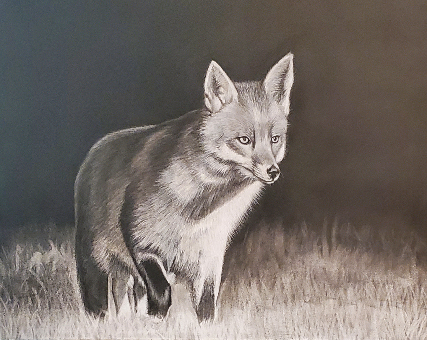 Stepping Out of the Shadows